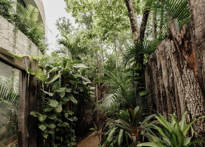 Jungle Boho Coco - Pv Pool - Bbq - Concierge 5a Villa *